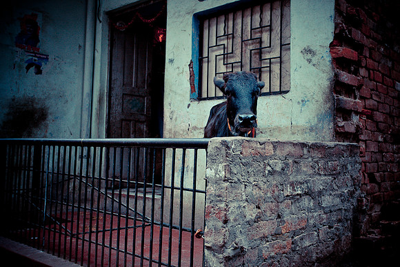 Street Photography, India (8 of 18)