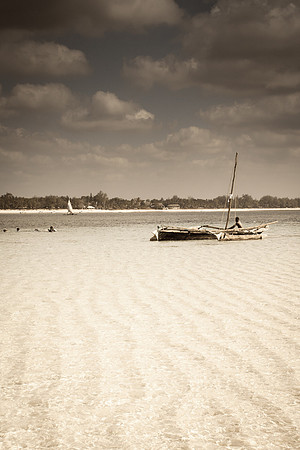 Life at the beach (3 of 9)