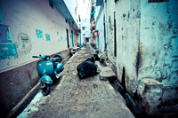 Street Photography, India (1 of 18)