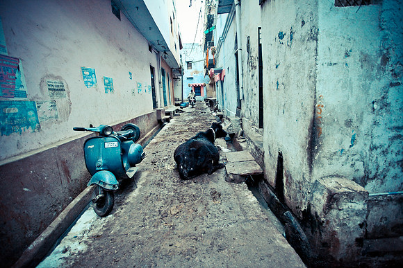 Street Photography, India (1 of 18)